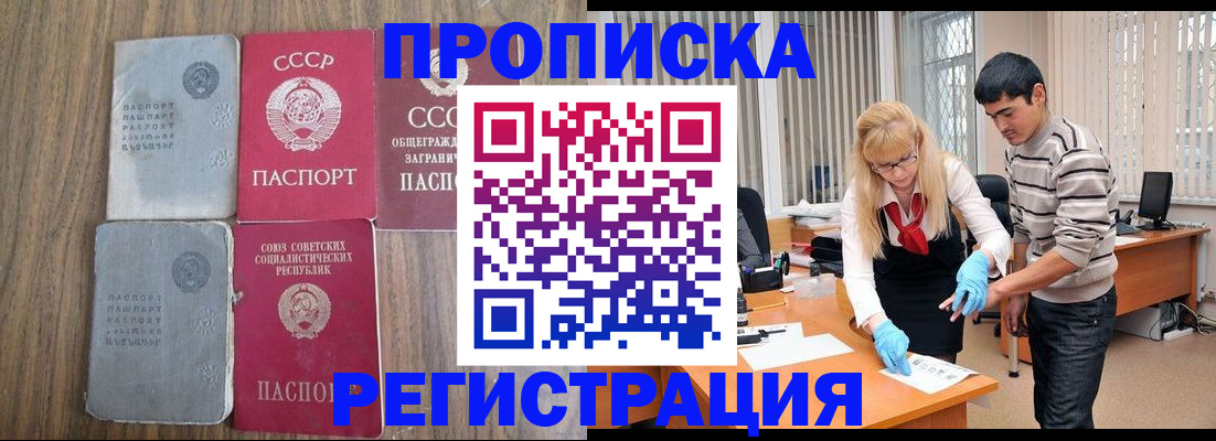 временная регистрация 2025 в Михайловке